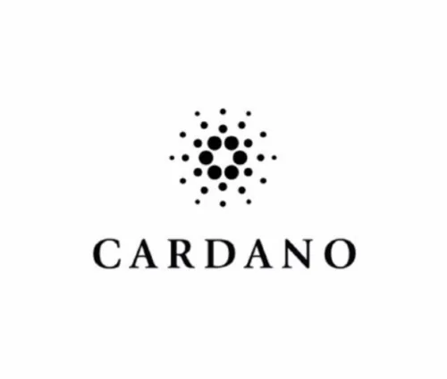 eToro’s Beginner Guide to Cardano Hero Image