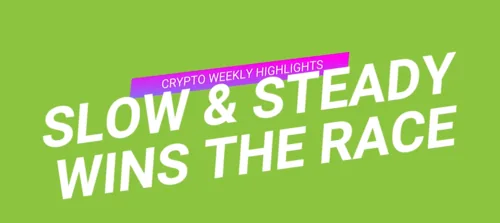 Slow & Steady wins the Race - #CryptoWeeklyHighlights Hero Image