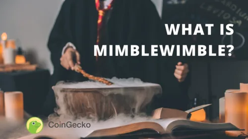 What Is Mimblewimble? How Is It Different From Other Blockchain Protocols? Hero Image