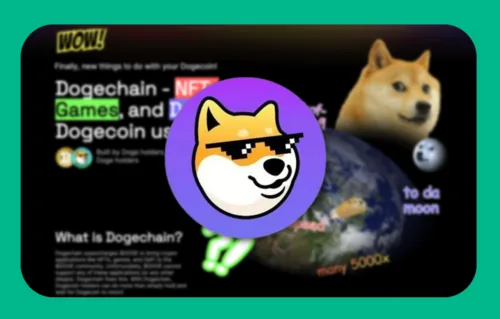What Is Dogechain? How Does It Work? A Detailed Guide Hero Image