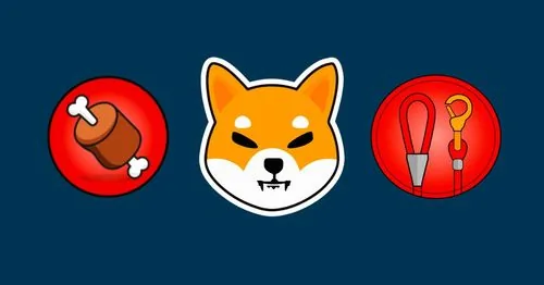 What is ShibaSwap And BONE? Hero Image
