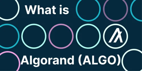 What Is Algorand? Looking Into the ALGO Ecosystem Hero Image