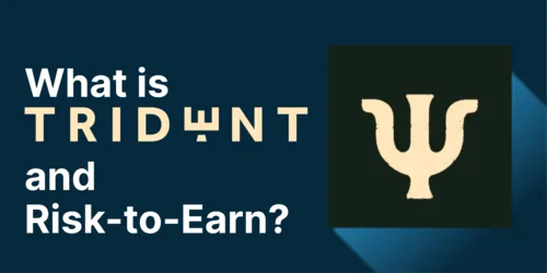 What is Trident and How Risk-to-Earn Will Change Existing GameFi Hero Image