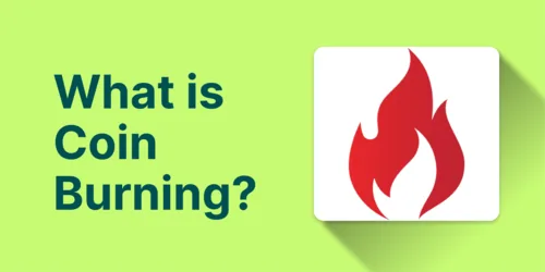 Burning Crypto Explained: How Its Affecting SHIB and ETH Hero Image