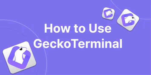 How to Use GeckoTerminal Hero Image