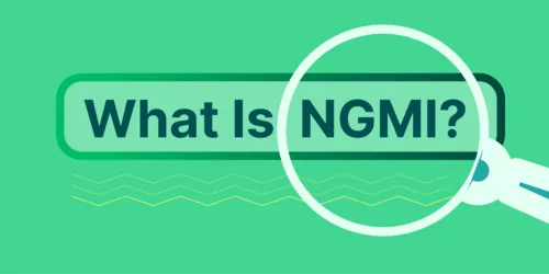 What Is NGMI in Crypto? Hero Image