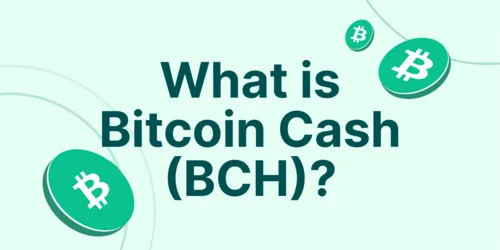 What Is Bitcoin Cash and How It Rose by Over 100% Hero Image