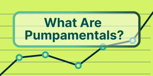 What Are Crypto Pumpamentals? Hero Image