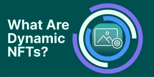 What Are Dynamic NFTs (dNFTs) And How Do They Work? Hero Image