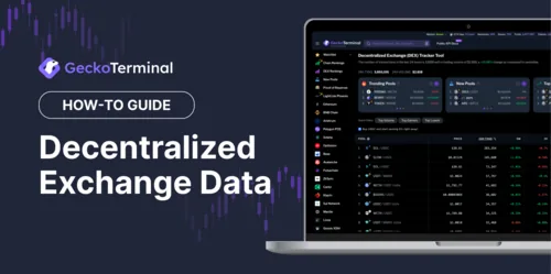 How to Get Onchain Data with GeckoTerminal API Hero Image