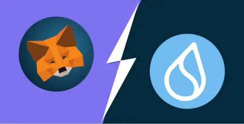 How to Add Sui to MetaMask Hero Image