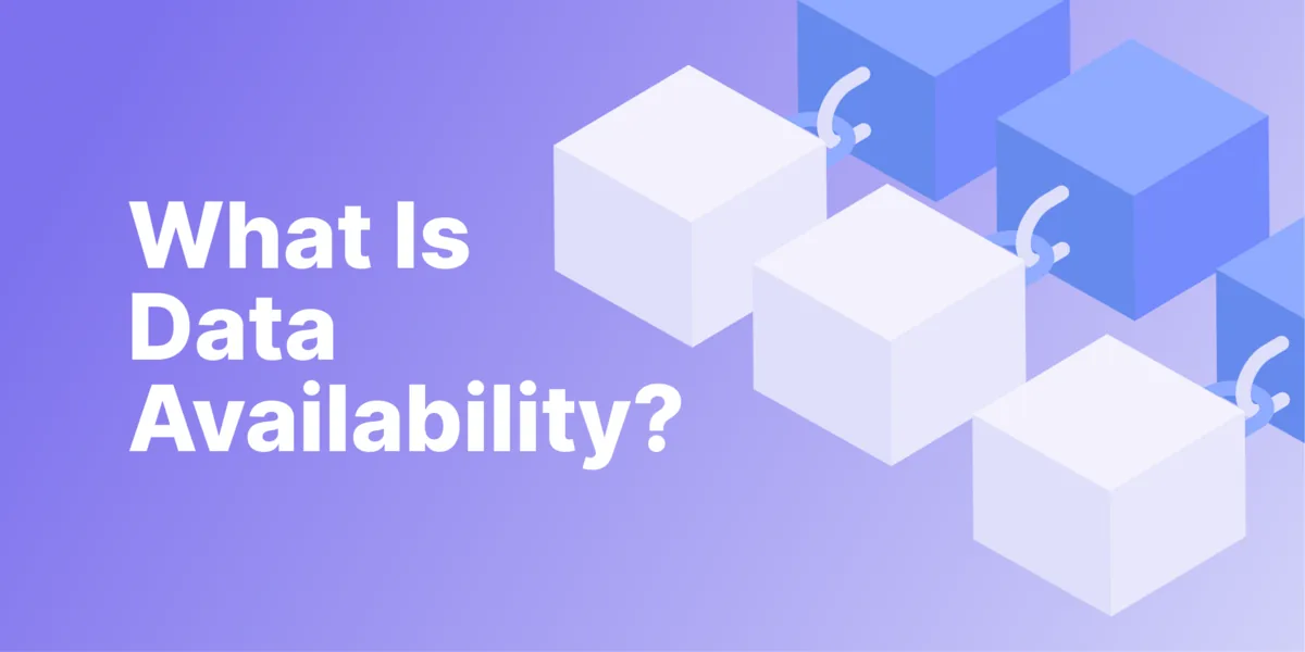 What Is Data Availability in Blockchains? Hero Image