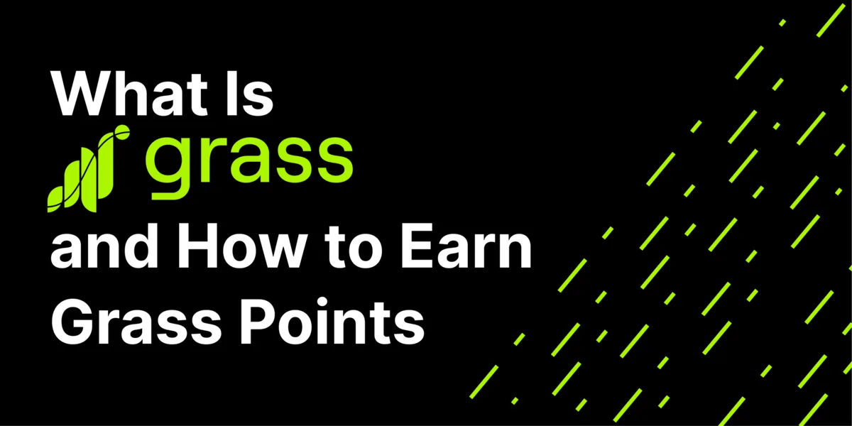 What Is Grass.io and How to Earn Points for a Potential Airdrop Hero Image