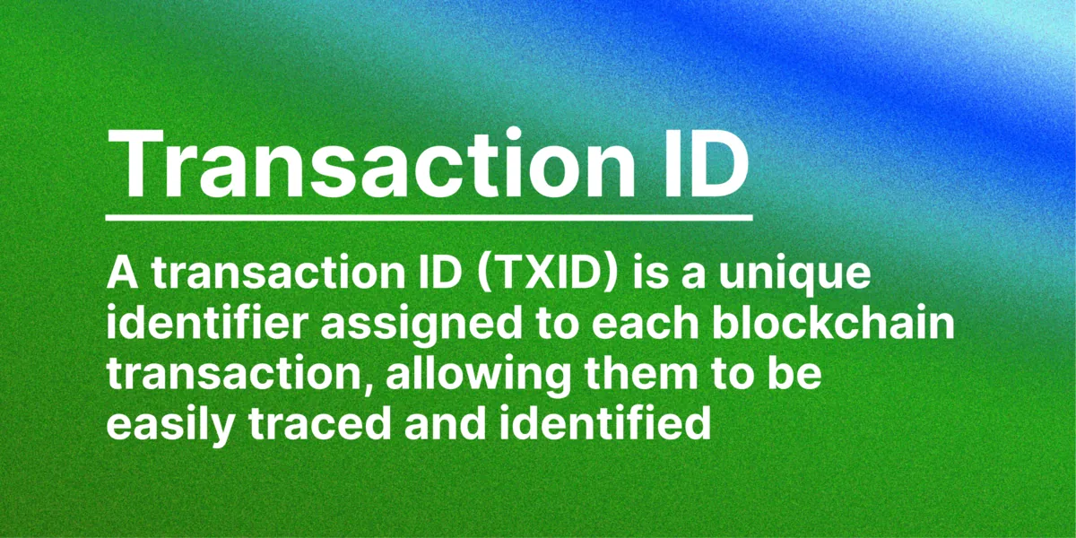 What Transaction IDs (Txid) Are and How It Can Be Used to Track Transactions Hero Image