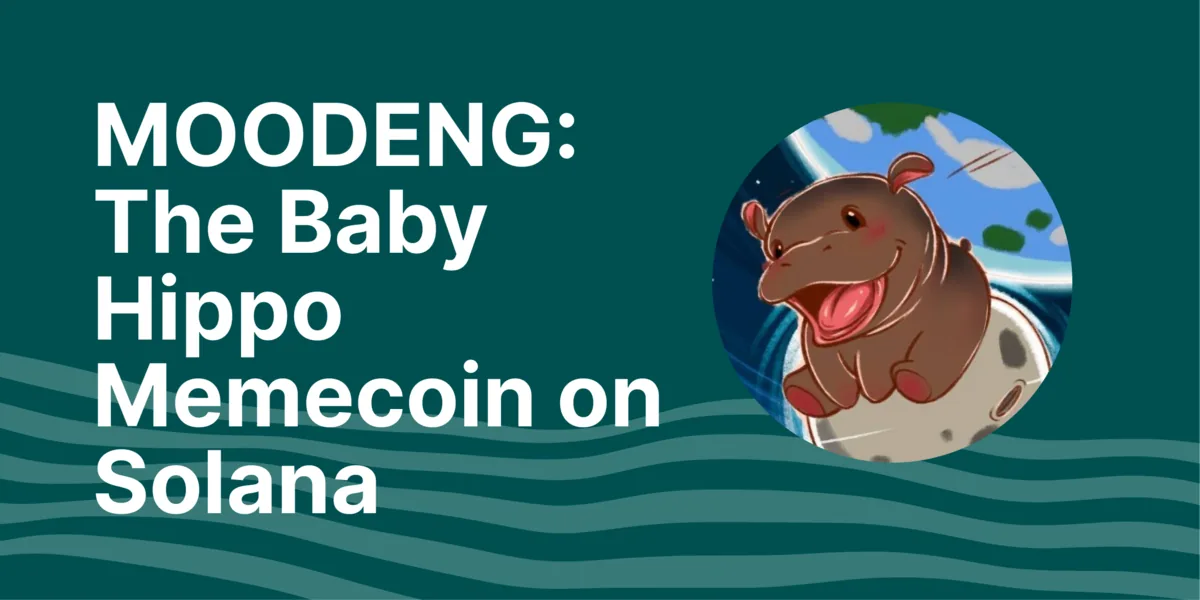 What Is MOODENG? The Baby Hippo Memecoin on Solana Hero Image