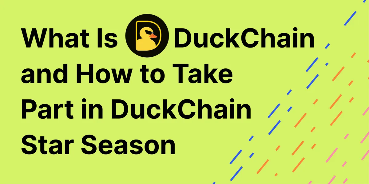 What Is DuckChain and How to Improve Eligibility for the DuckChain Airdrop Hero Image