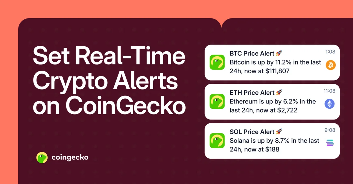 How to Set Crypto Price Alerts and Track Your Portfolio Hero Image