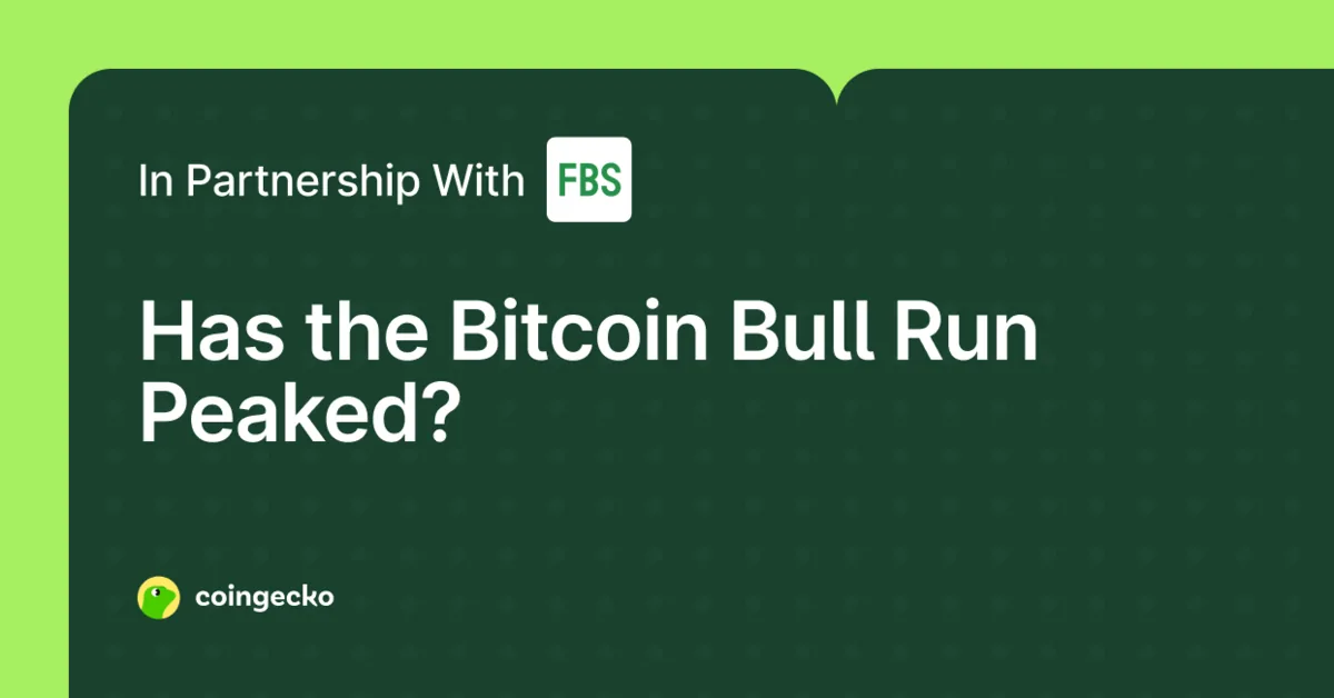 Has the Bitcoin Bull Run Peaked? Hero Image