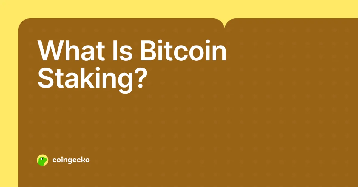 What Is Bitcoin Staking and How Does It Work? Hero Image