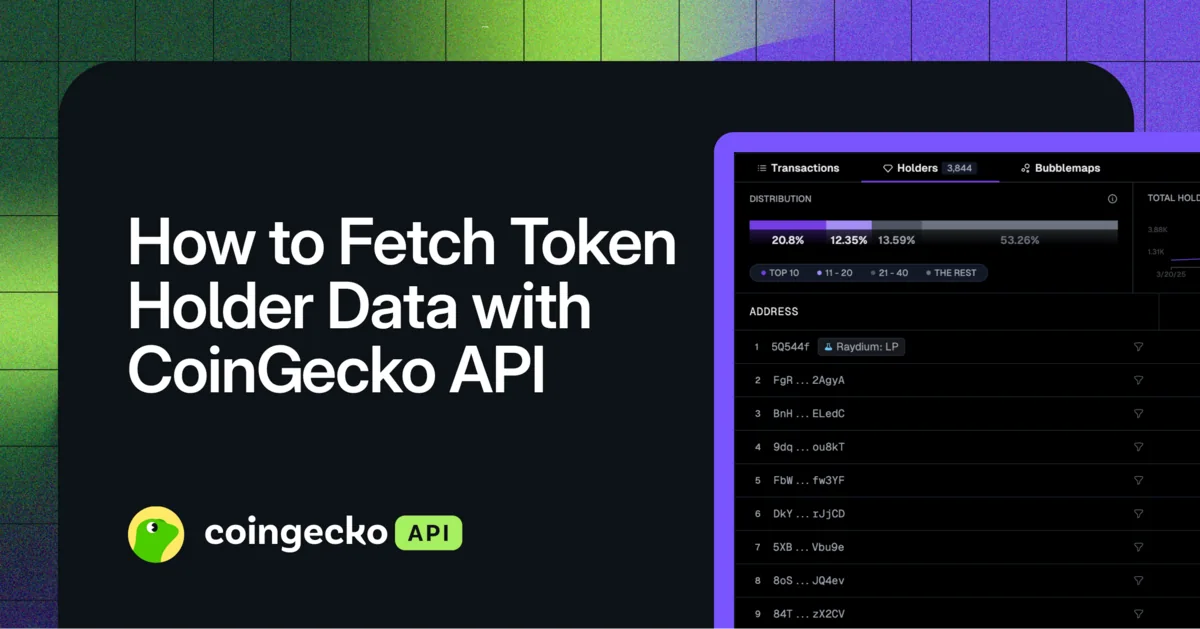 How to Get Token Holder Data with CoinGecko API Hero Image