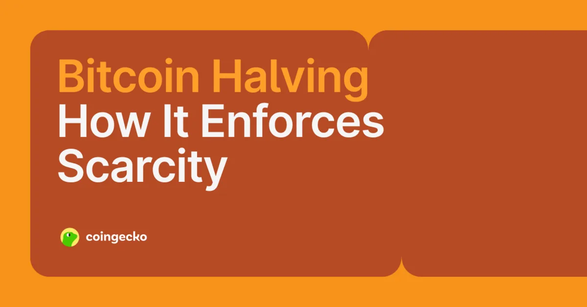 What Is Bitcoin Halving and Why Is It Important? Hero Image