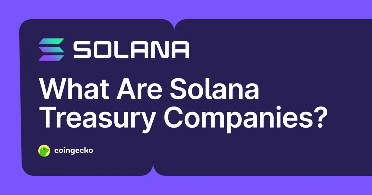 What Are Solana Treasury Companies and Top Companies Holding SOL Hero Image