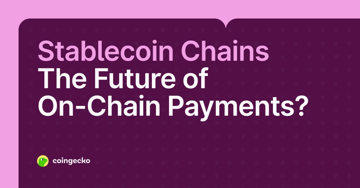 What Are Stablechains? A Guide to Payment-Focused Blockchains Hero Image
