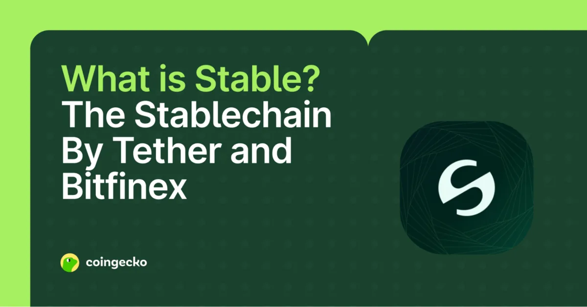 What Is Stable, Tether's Stablechain Hero Image