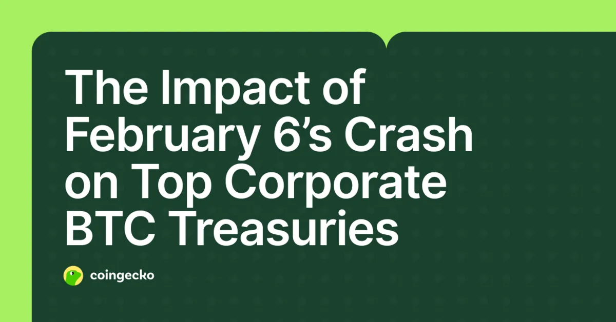 February 6’s Impact on Top Corporate BTC Treasuries Hero Image