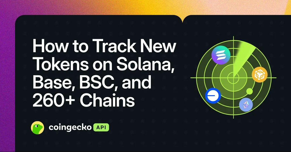 How to Track New Tokens on Solana, Base, BSC, and 260+ Chains Hero Image