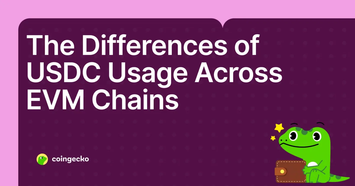 The Day and Night Difference in USDC Usage Across EVM Chains Hero Image