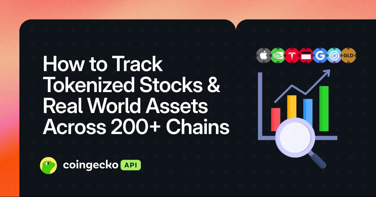 How to Track Tokenized Stocks & Real World Assets (RWAs) Across Solana, Ethereum, Robinhood & 200+ Chains Hero Image